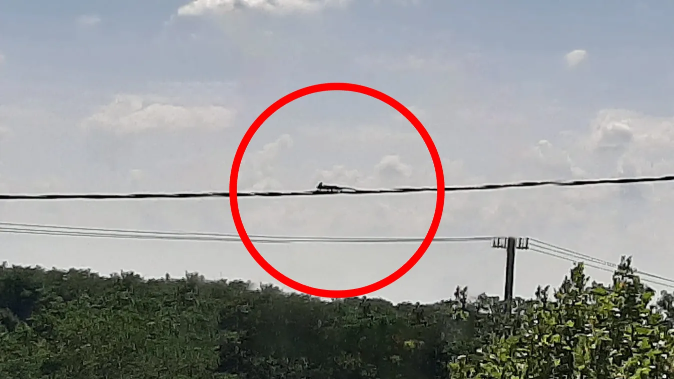 Egy elektromos vezetéken látták Jenőt