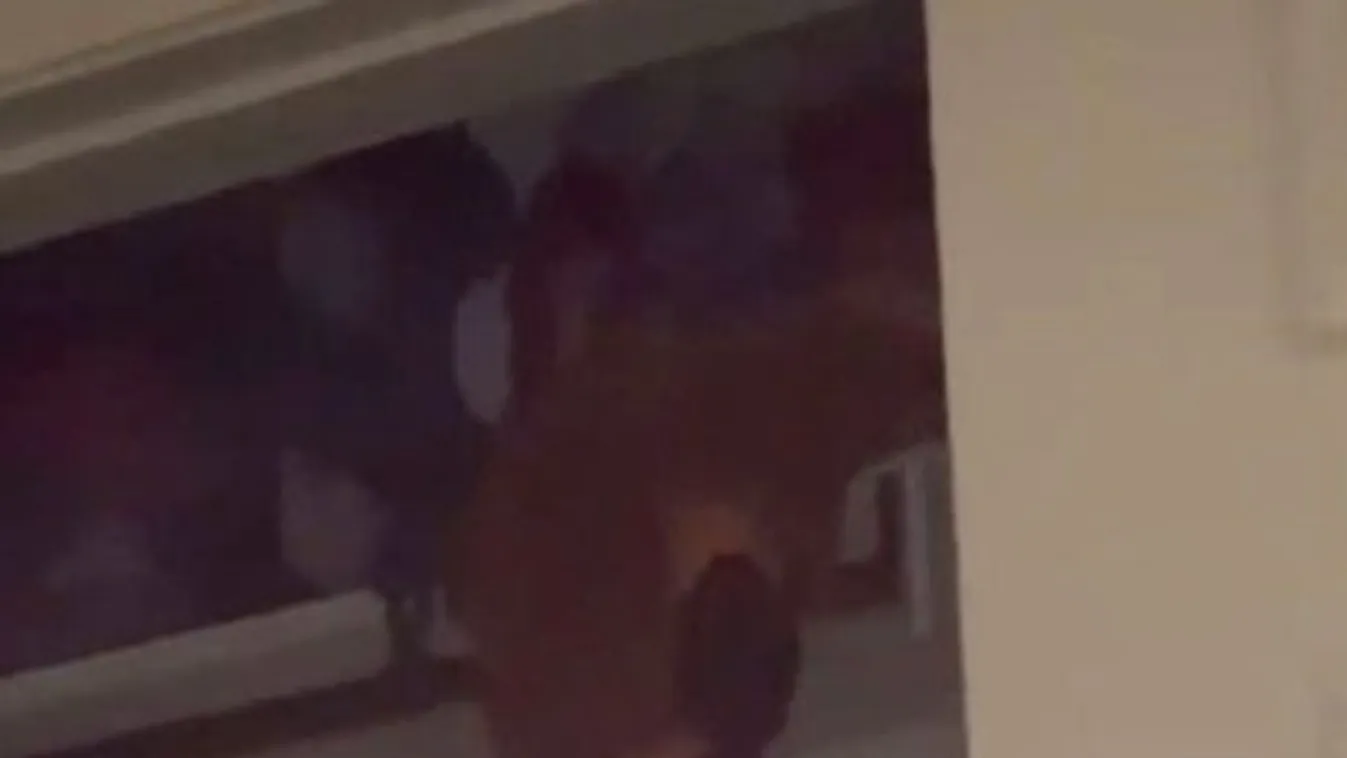 Szörnyű dolog történt munka közben a bébiszitterrel, sokkos állapotban rohant ki a házból