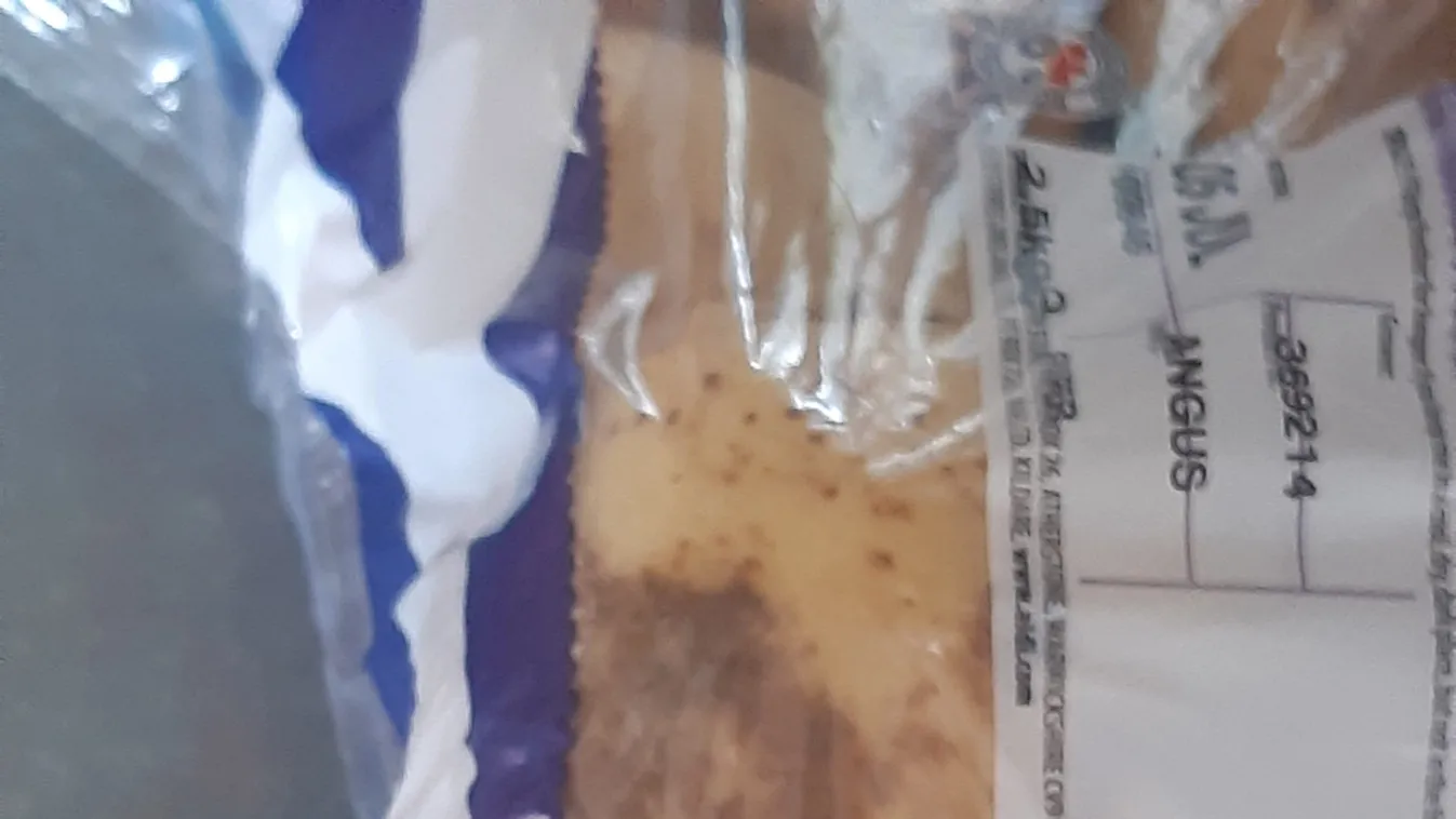 Hihetetlen, ezúttal egy krumplin jelent meg Jézus