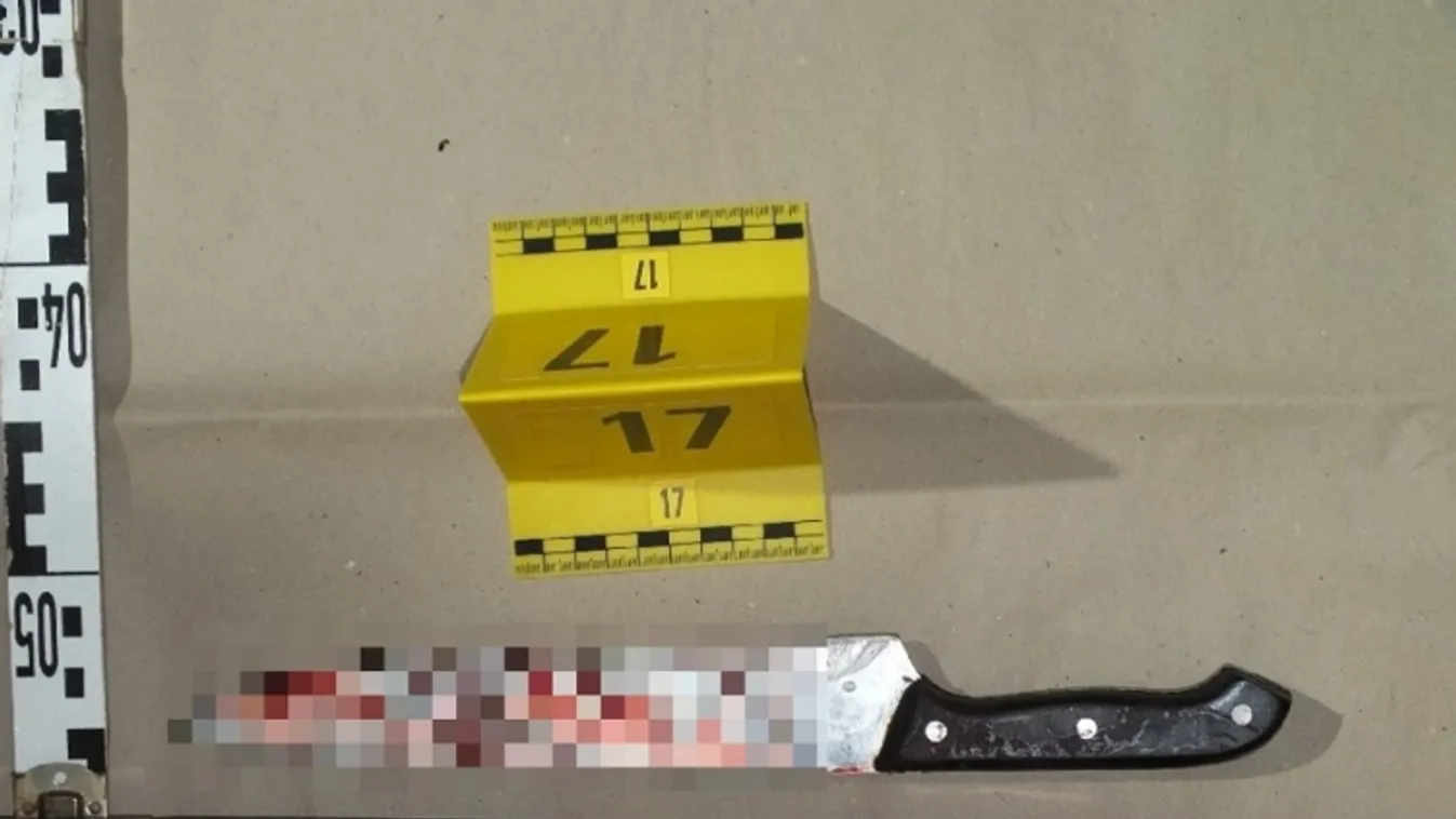 Gyanúsítottakat vettek őrizetbe az érdi emberölés ügyében