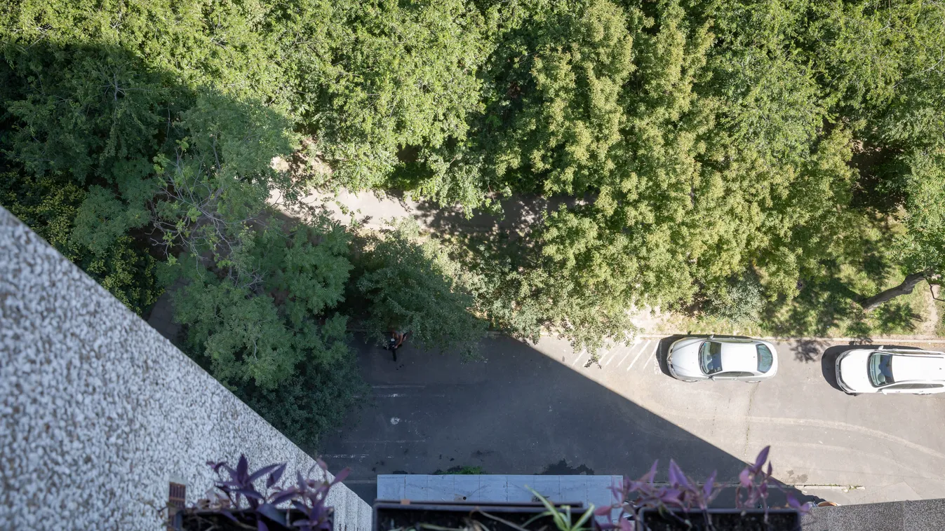 "Olyan volt, mintha én is meghaltam volna" - gyerekei éltetik a gyászoló kelenföldi édesapát