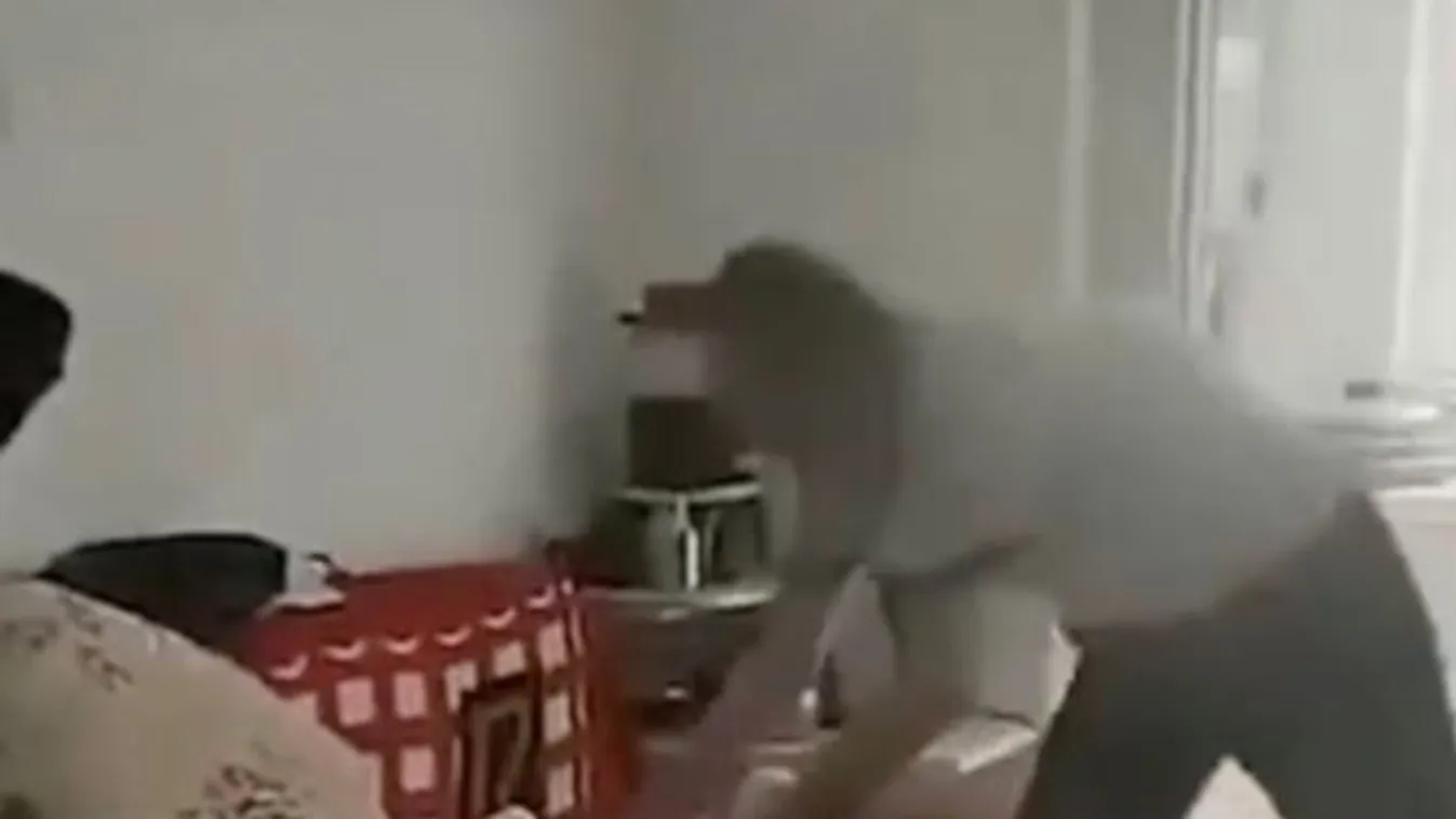 Megrázó felvételek: hangos csattanással vágta oda 2 éves gyerekét az ágyhoz a brutális apa