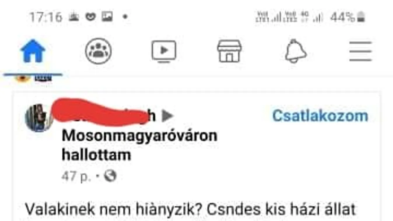 Ijesztő: mérgeskígyót találtak kidobva egy kuka mellett Mosonmagyaróváron