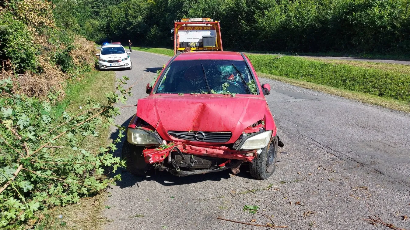 Fának hajtott a holtrészeg sofőr Zemplénben -fotó
