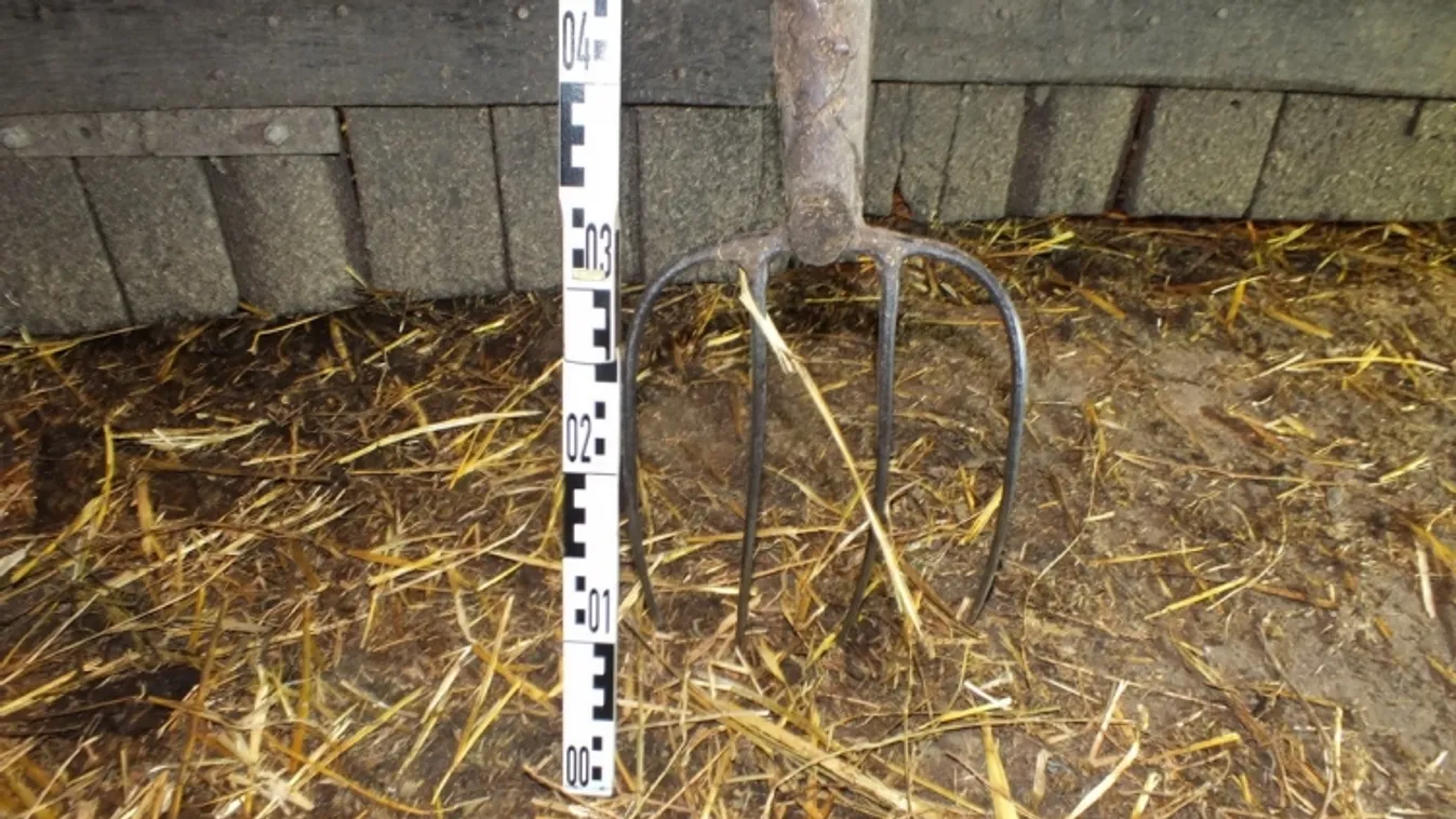 „Fejszével foglak megölni téged és a nődet” – lovas kocsival elgázolta, majd vasvillával és baltával támadt rá a magyar nőre