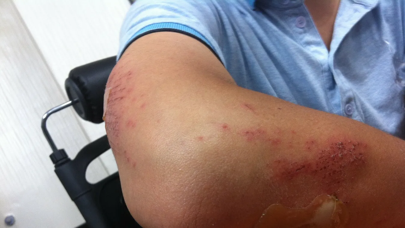 Köpködött és rugdosott egy nő a McDonald'sban, ledöbbensz miért balhézott