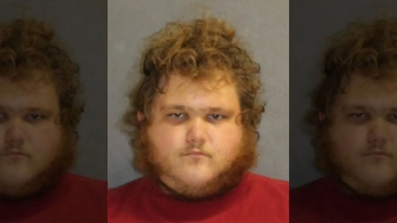 A zsaruk találták meg a férfi telefonját: gyomorforgató dolgok derültek ki - 18+