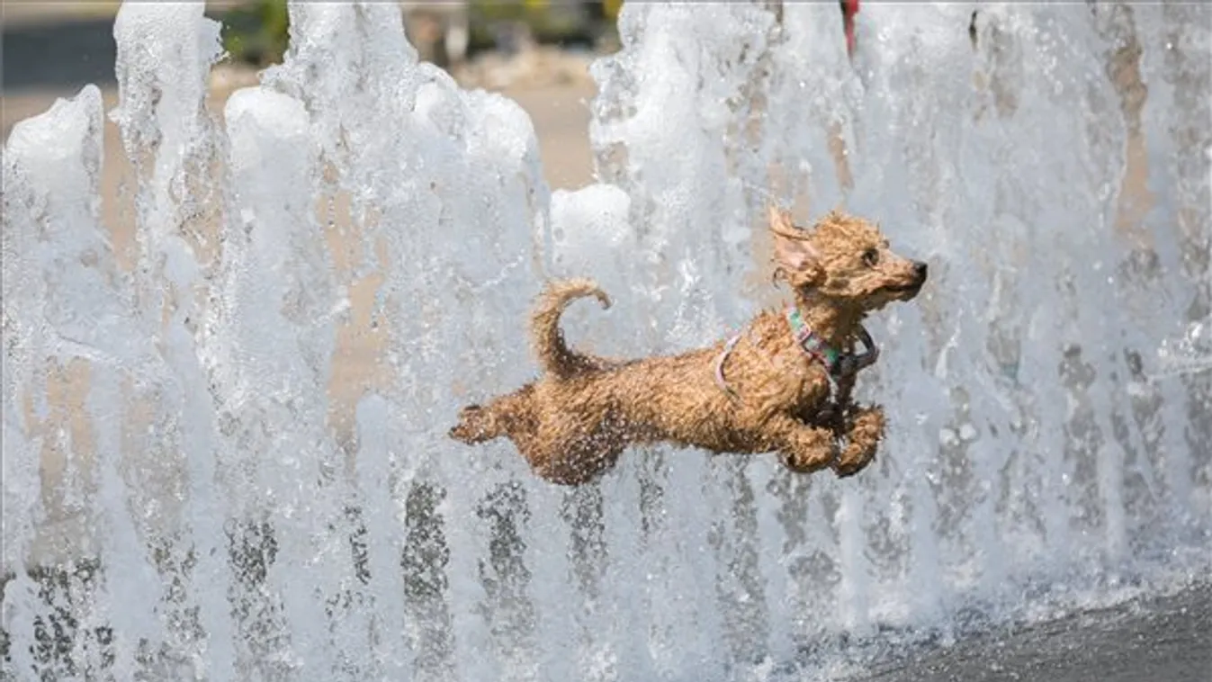Jelzett a budakalászi műszer: Nem hittek a szemüknek a szakemberek