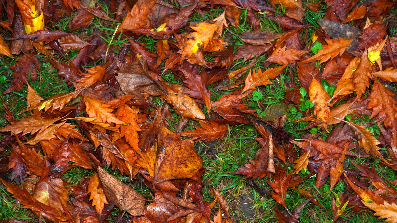 Brutális lehűléssel robbant be az ősz - erre kell számítani a következő napokban
