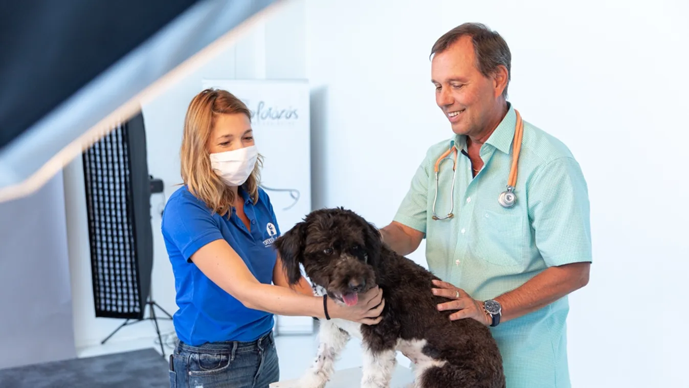 Kutyákon is segítenek a járvány hősei