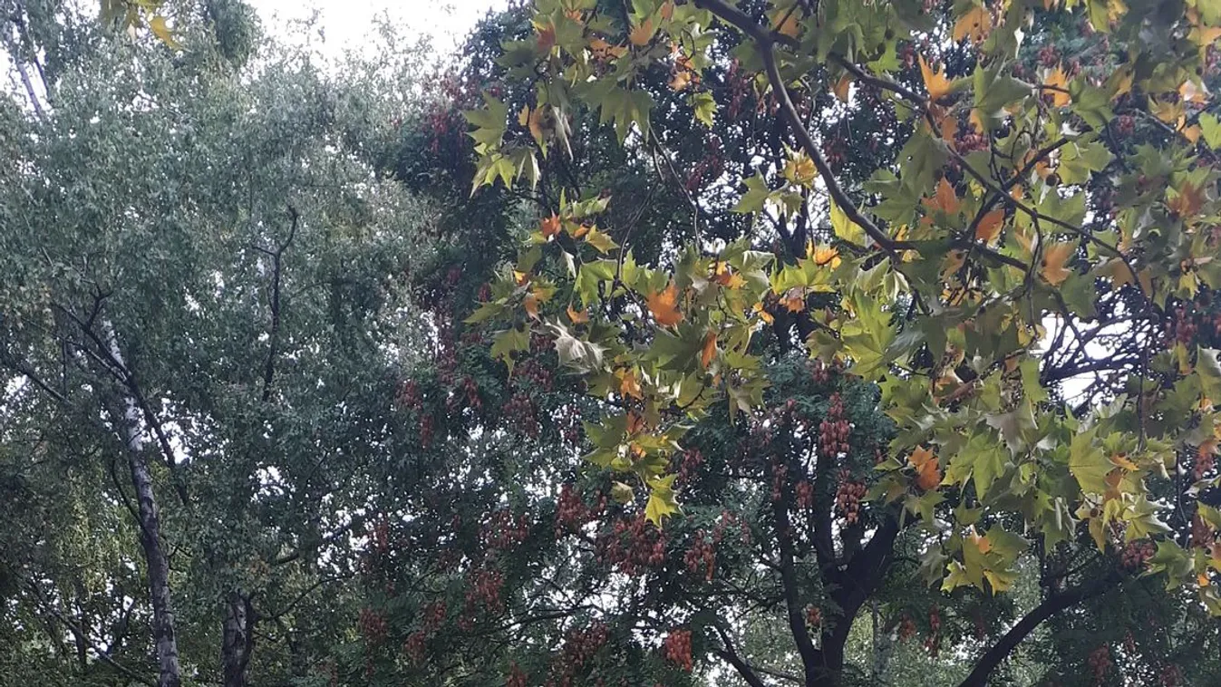 Aláírást gyűjtenek Újpalotán a köztéren élők miatt