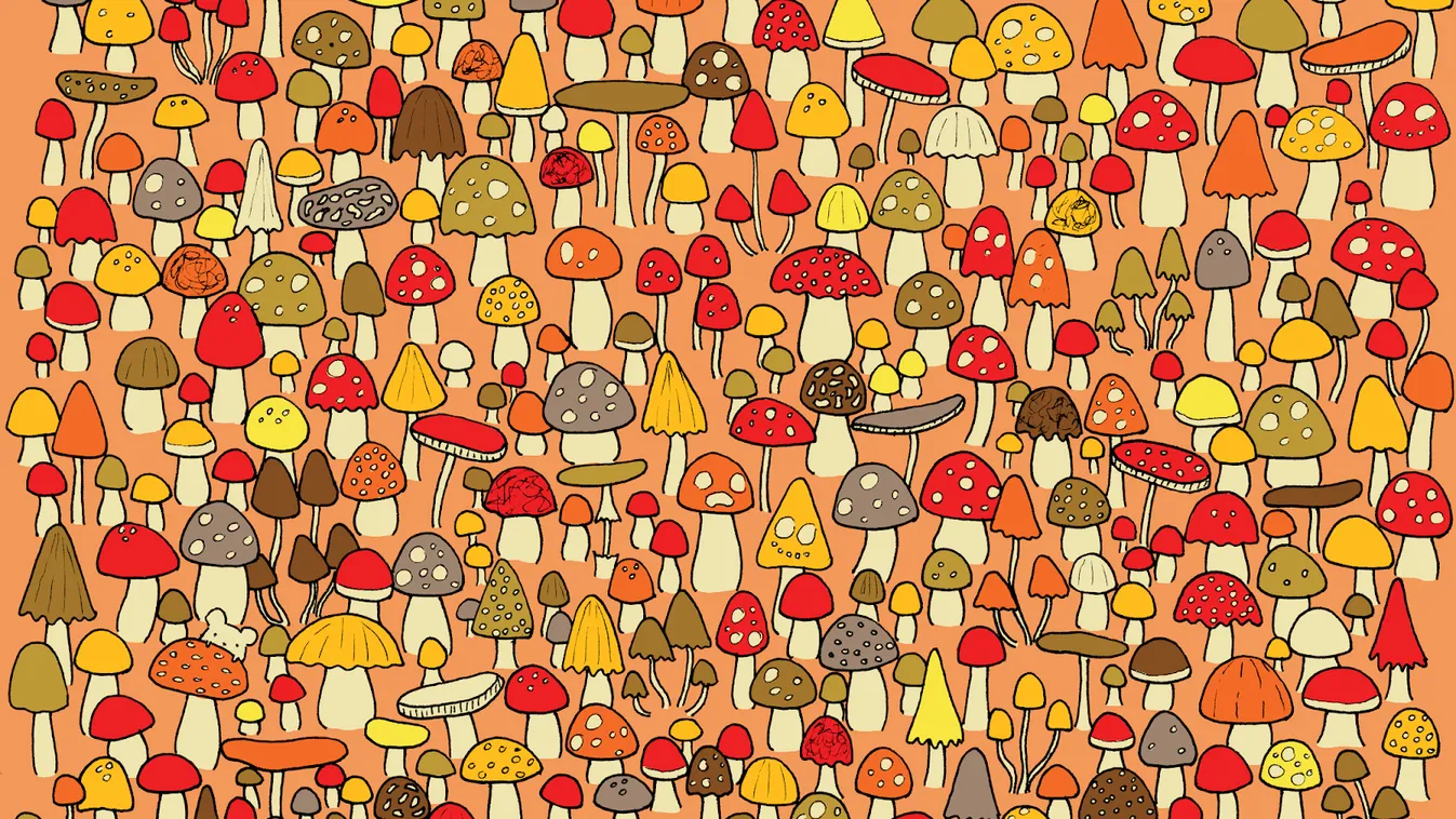 Megőrülsz ettől a képrejtvénytől: az átlagember 2 másodperc alatt jön rá a megfejtésre - és te?