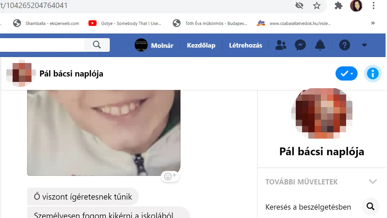 Gyerekeket is célba vett az állatvédők zaklatója