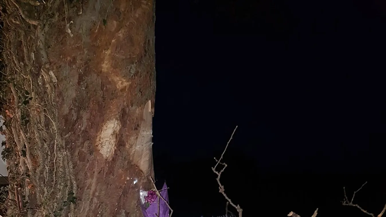 „Sosem fogunk elfelejteni" - négy gyermeket hagyott árván a balesetet szenvedett édesanya