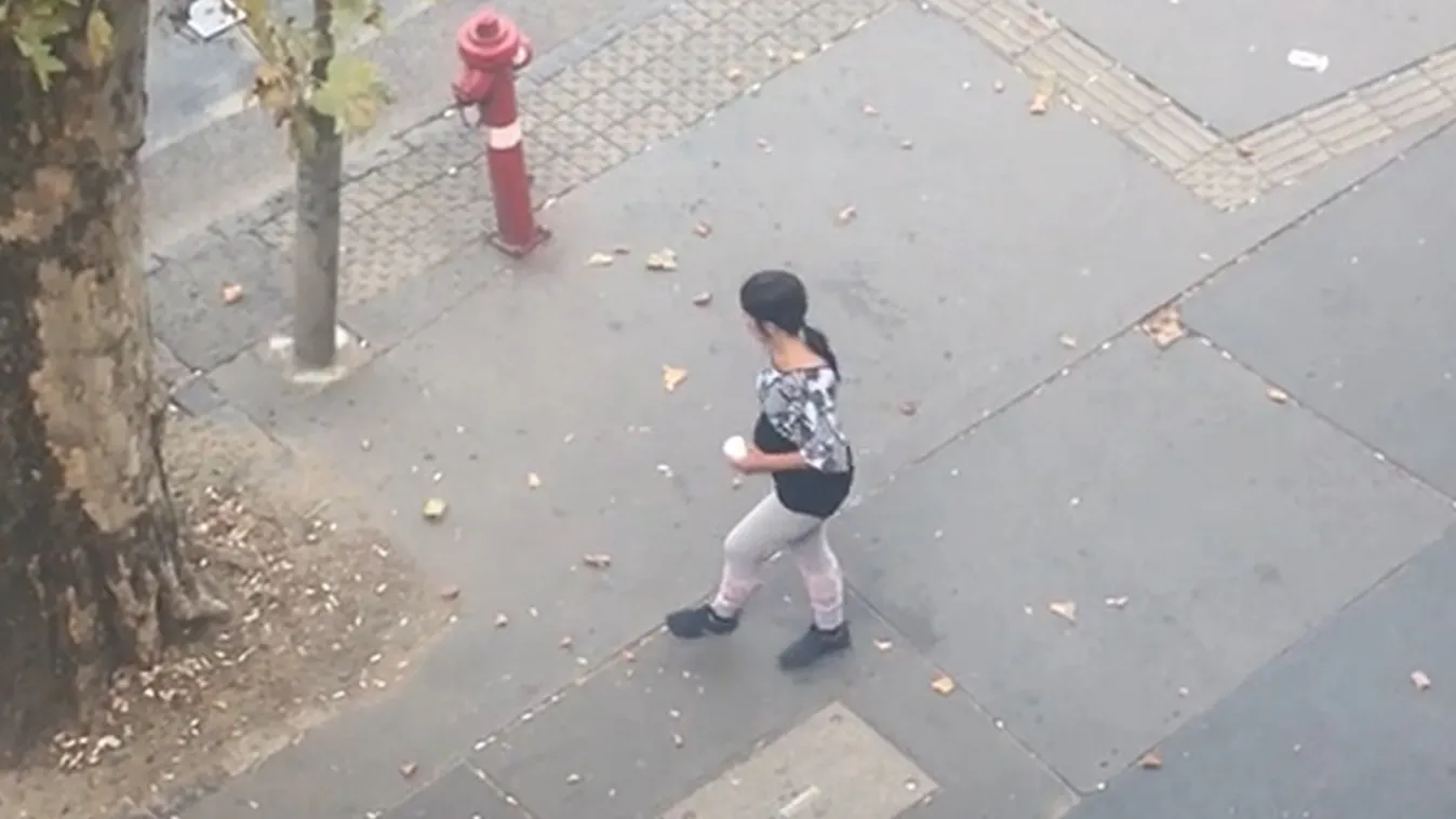 A Ripost leleplezte: terhes nőt küld kéregetni a koldusmaffia