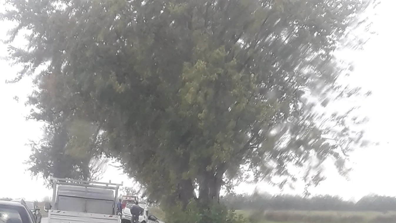 Fának hajtott és szörnyethalt egy 28 éves férfi Tétnél - fotó