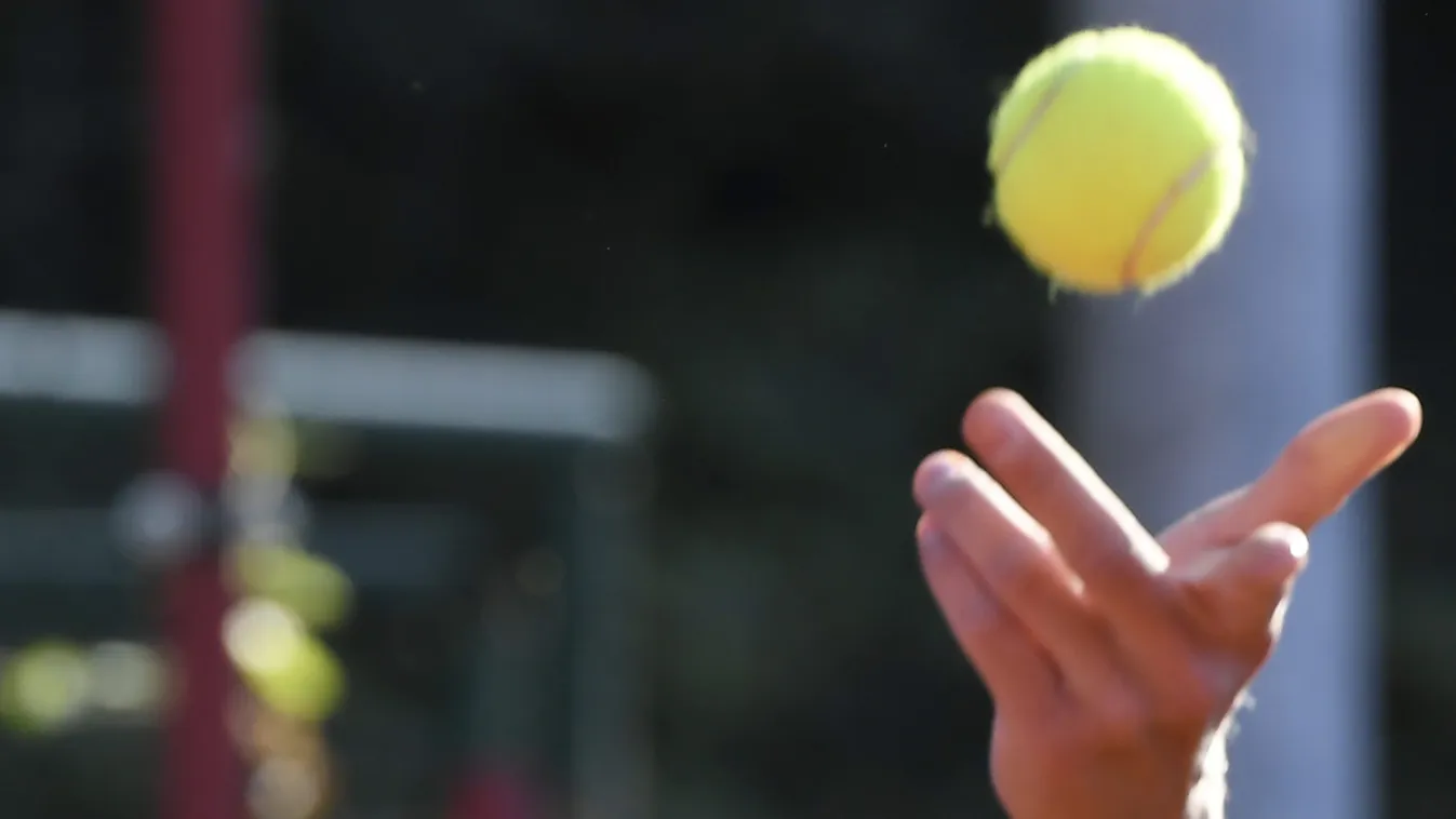 Szenzáció Amerikában: Fucsovics megint elverte a világbajnokot