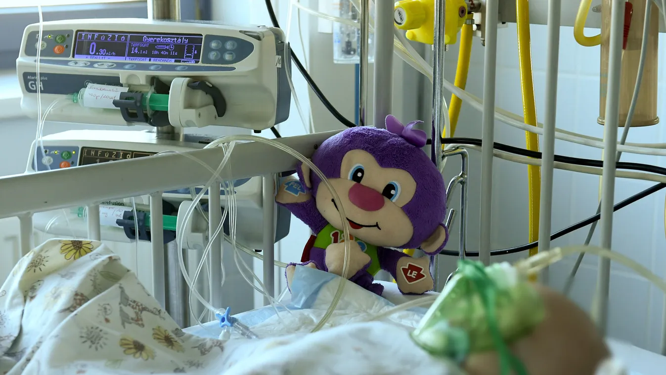 Véres jelenetek a budapesti kórházban: lefejelte a biztonsági őrt egy apuka