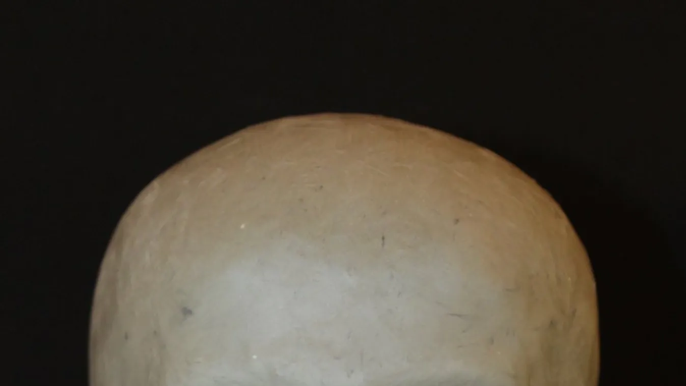 Egy fiatal maradványait találták meg Szántódpuszta közelében