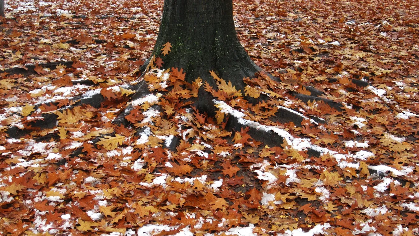 Durva idő csap le az országra: havas eső zúdul a nyakunkba