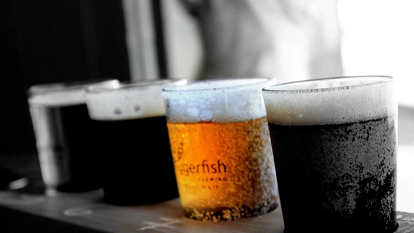 A sörfőzdék ingyenes nyílt napon várják a sörbarátokat