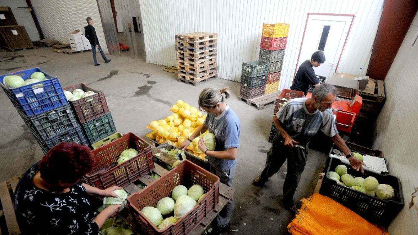 25 ezer álláskereső juthat munkához, mától indul a program