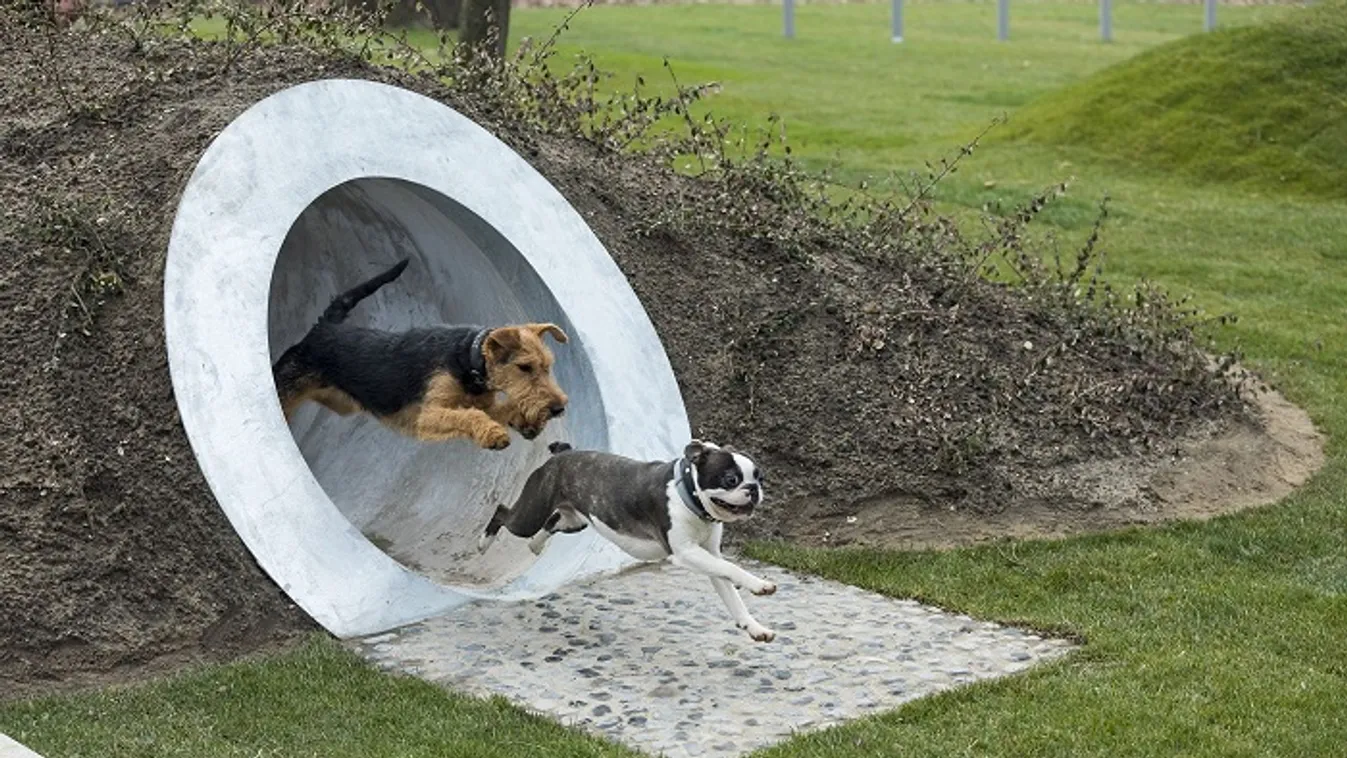 Liget Budapest Projekt: már több mint másfél millió látogatót vonzottak az eddig megvalósult fejlesztések