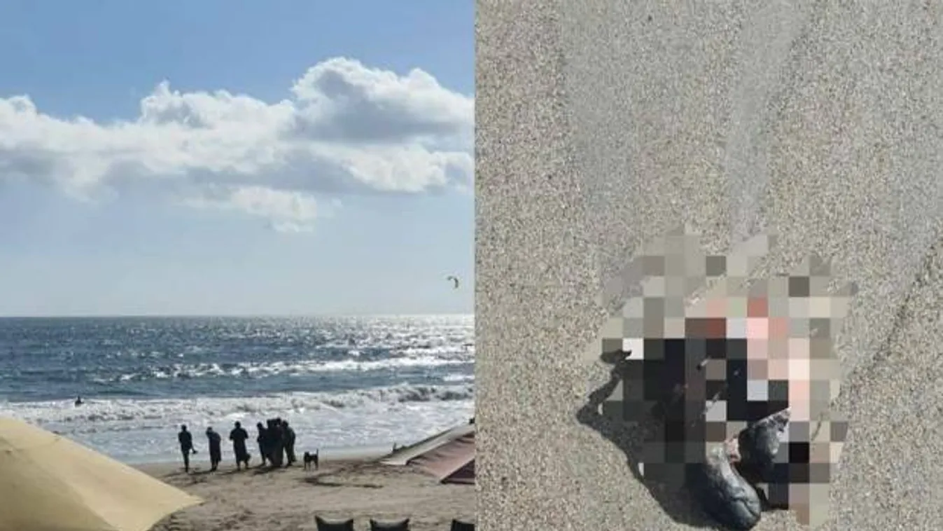 Horror: egy rothadó lábfejet mosott partra a víz