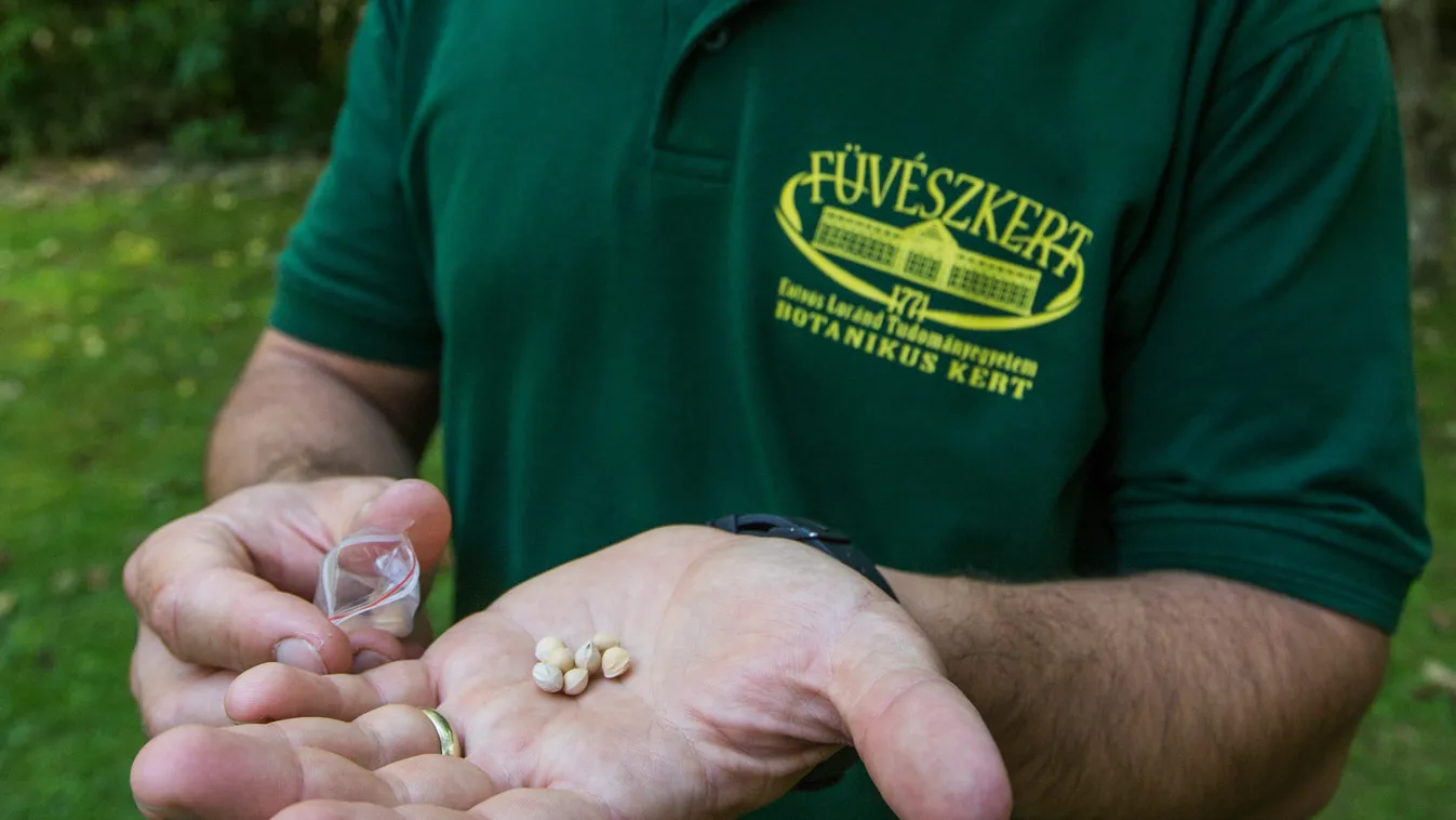 Veszélyes lehet, ha ilyen kínai magot talál a postaládájában!