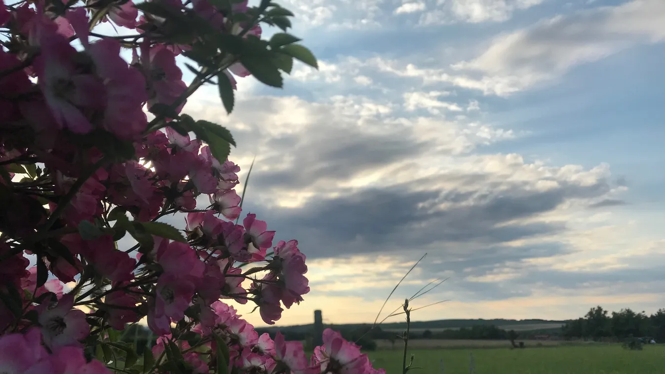 Így jön vissza a nyár, de meddig tart a jó idő?