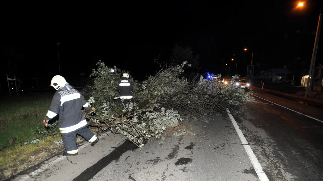 Még egy vonatra és fát döntött a brutális vihar - ötven helyszínen dolgoznak a tűzoltók!