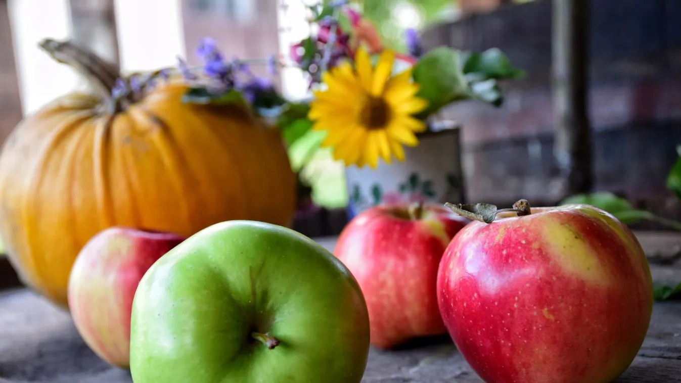 Ezért egyél minden nap egy almát! (x)