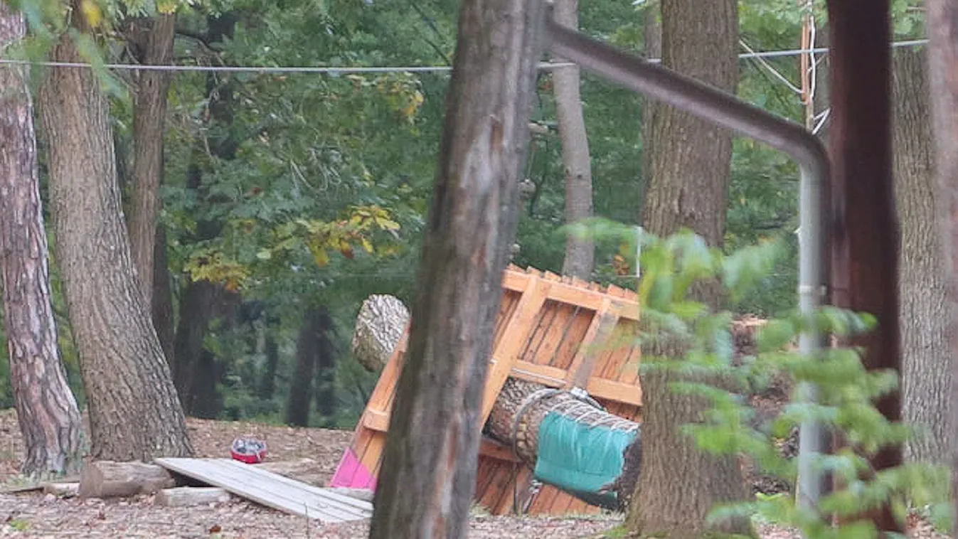 Kalandparki tragédia: Valóságos zseni volt a 16 éves fiú