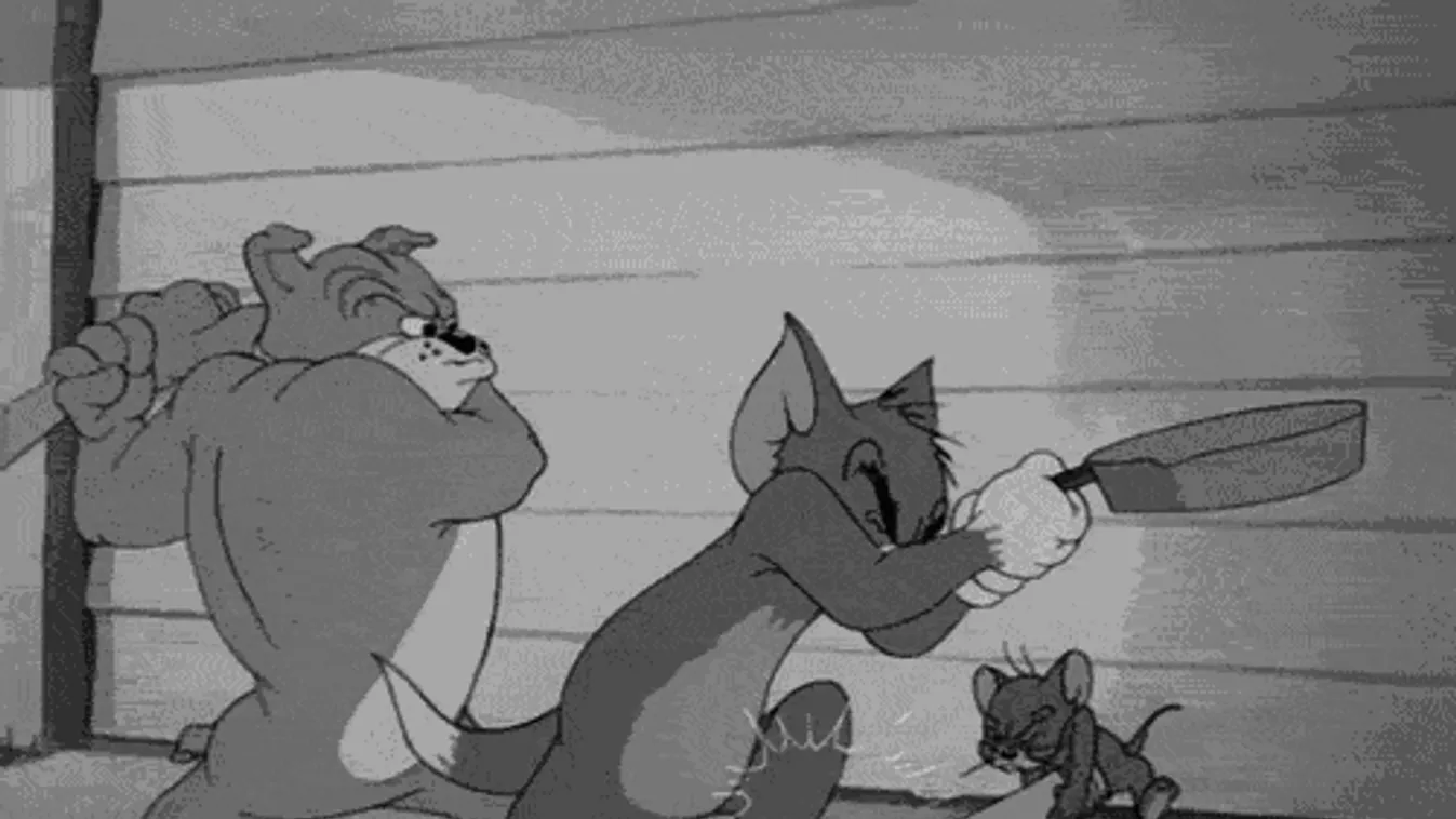 Ütős politikai vita kerekedett: Botokkal estek egymásnak - Videó