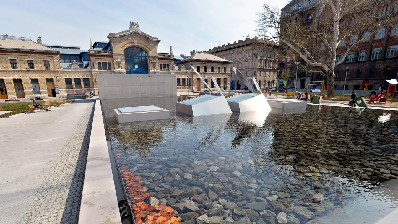 Megszállta Budapest szívét ez a hatalmasra nőtt állat - fotó