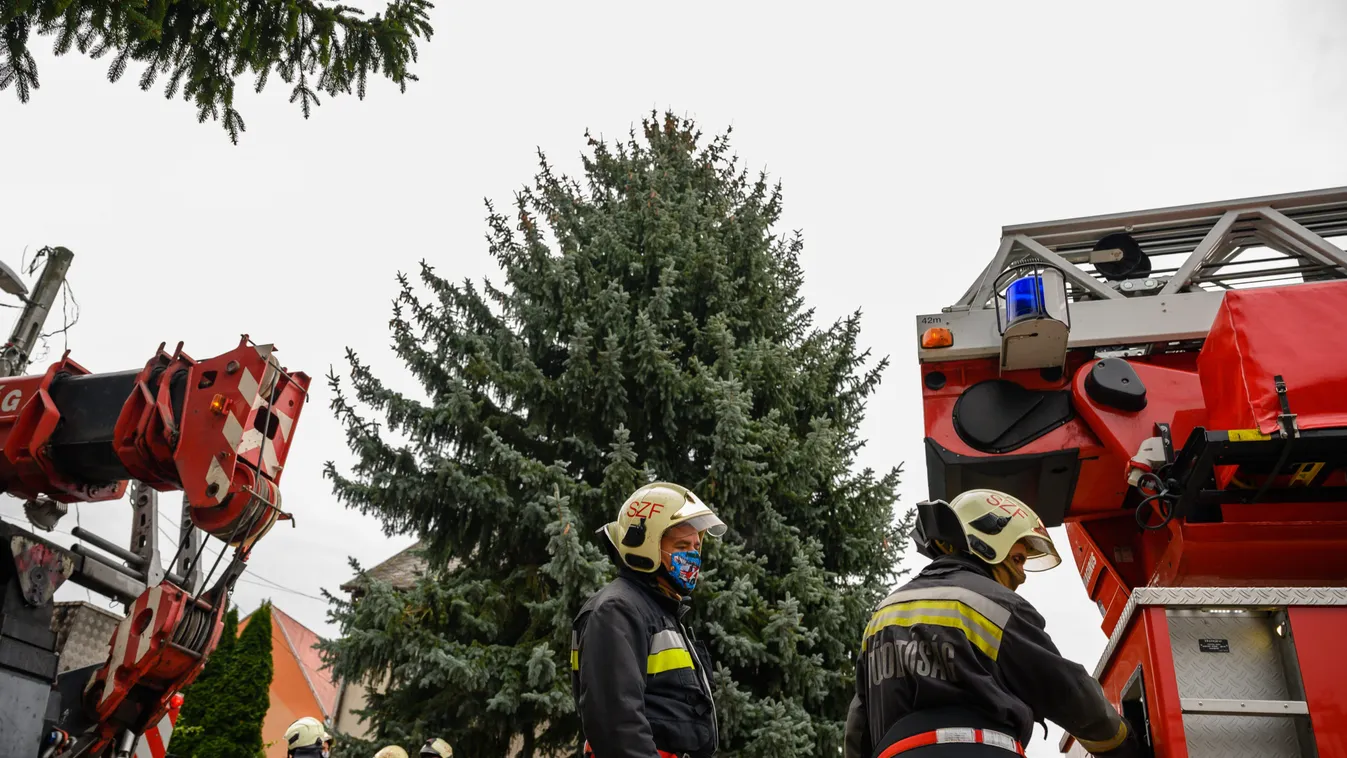 Már úton van az Ország Karácsonyfája, így vágták ki - fotók