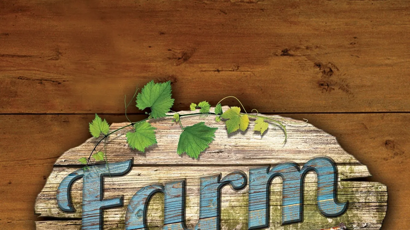 Óriási balhéval indul a Farm VIP: Máris csalást kiáltanak