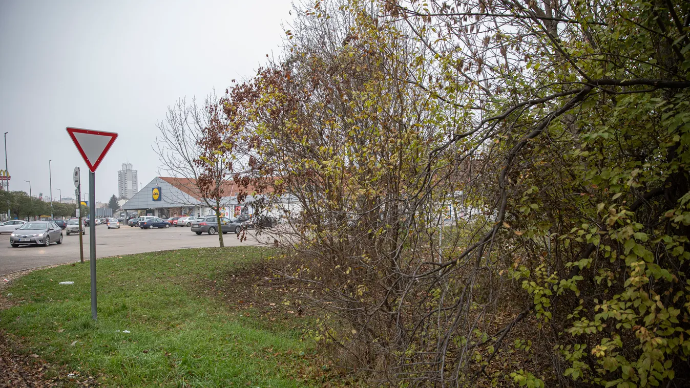 Cérnával kötötte el a köldökzsinórt Margit, megszabadultak a szolnoki csecsemőtől