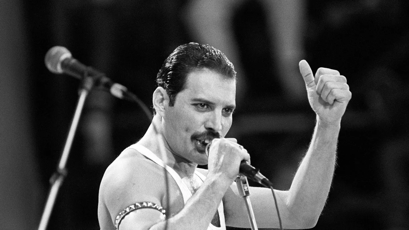 Drámai részletek derültek ki Freddie Mercury utolsó napjairól