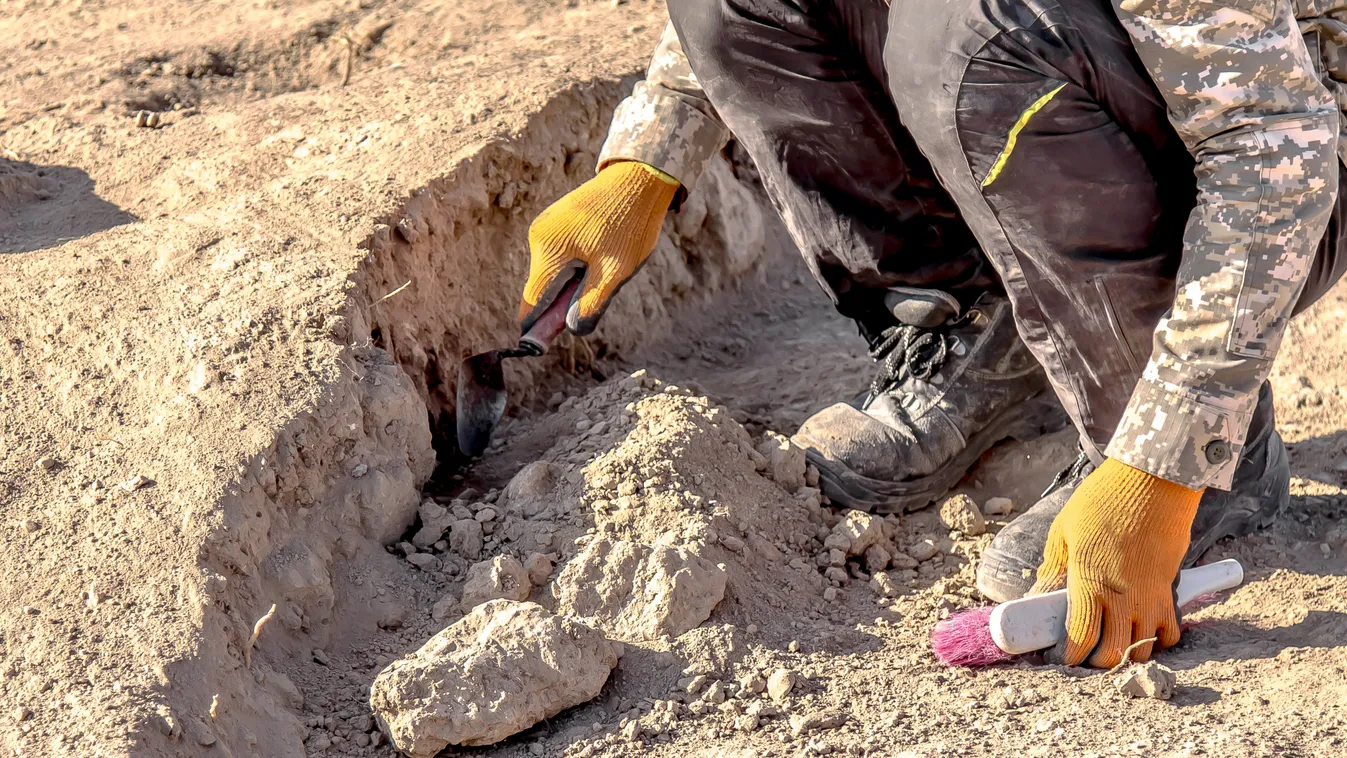 Hátborzongató: egy család csontjait találták meg a tiszadobi kastély udvarán