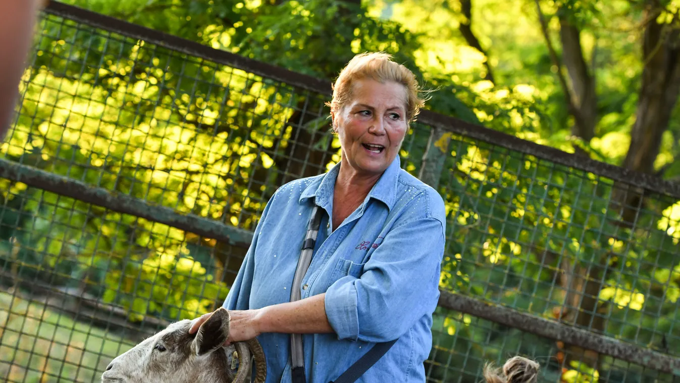 Bay Évát egy fej nélküli kakas rémítette halálra