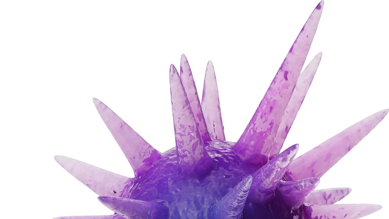 A koronavírus új mutációja ellen is véd a vakcina, regisztráljunk minél többen