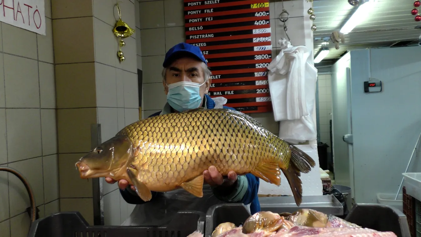 Halpiaci körkép – A legtöbben pontyot vagy harcsát vesznek