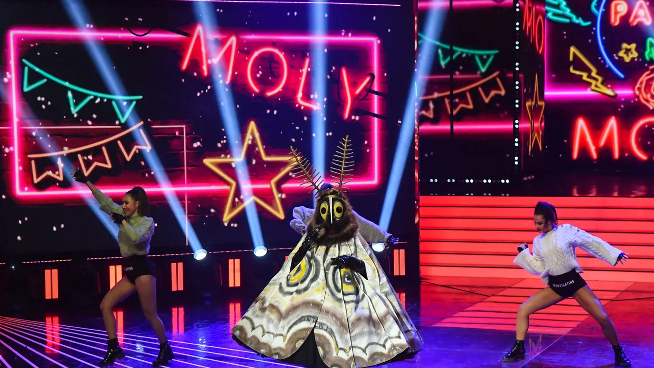 Lelepleződött a Molylepke, ő a Nicsak, ki vagyok? első mai kiesője!