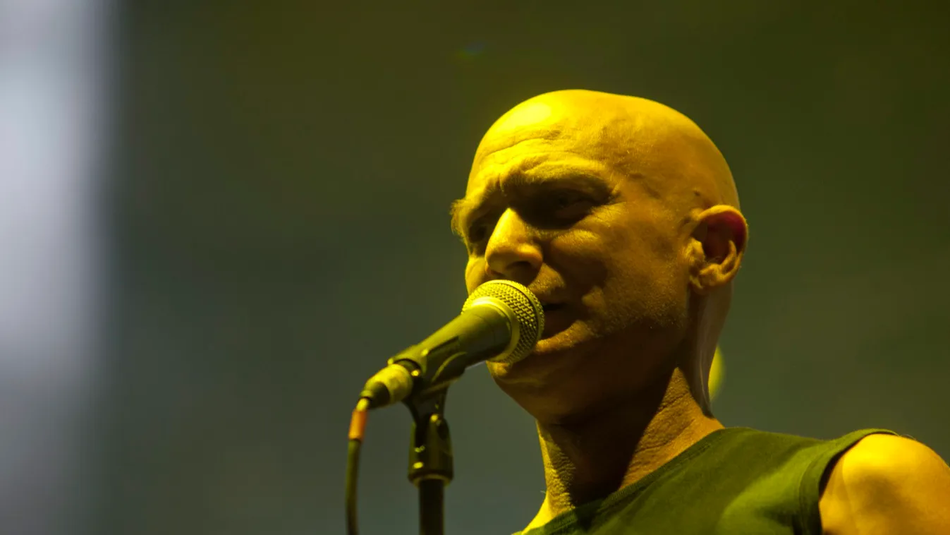 Elképesztő, ennyi pénz gyűlt össze a beteg Zsombi gyógyulására, Cipő holtában segített