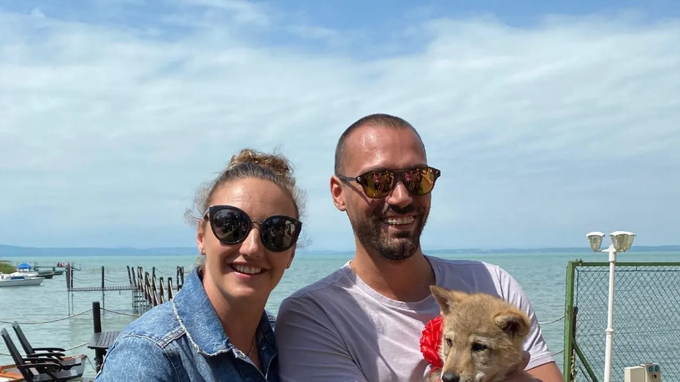 Megdöbbentő változás, hatalmasra nőtt Hosszú Katinkáék kutyája