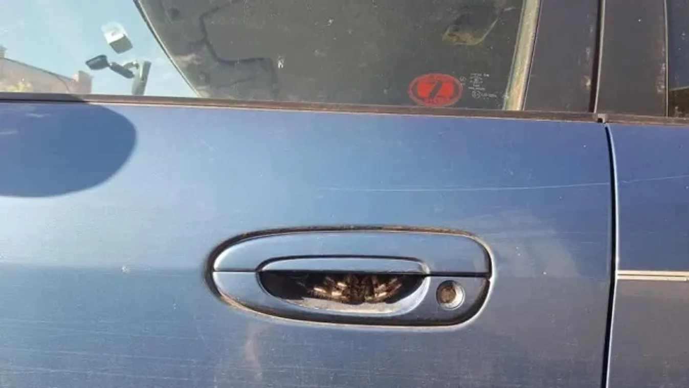 Egy hétig nem ült kocsiba, miután meglátta, mi bújt be a zárhoz – fotó