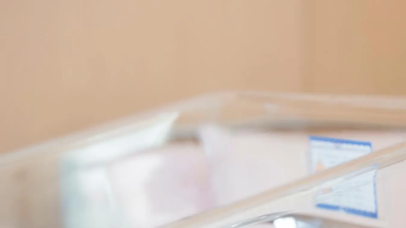 A babakötvény az egyik legjobb magyar befektetés