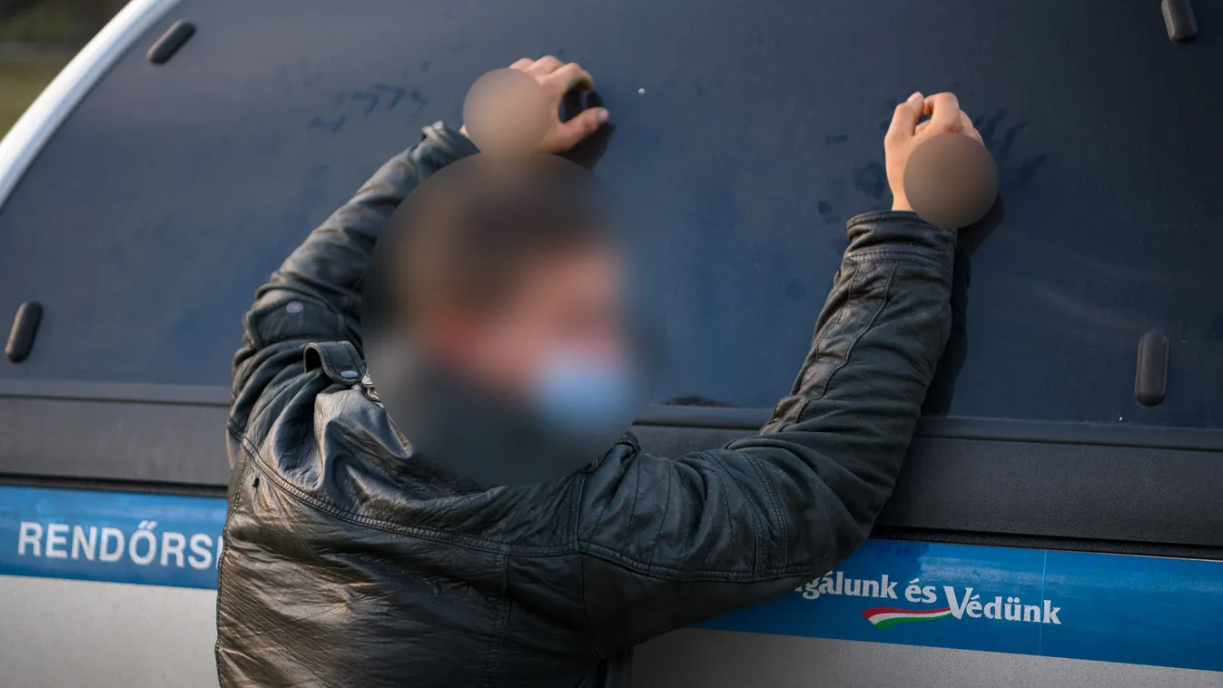 Megrázó: tiltott állatviadalok miatt szenvedett 50 kutya Nagykőrösön, +18-as videó