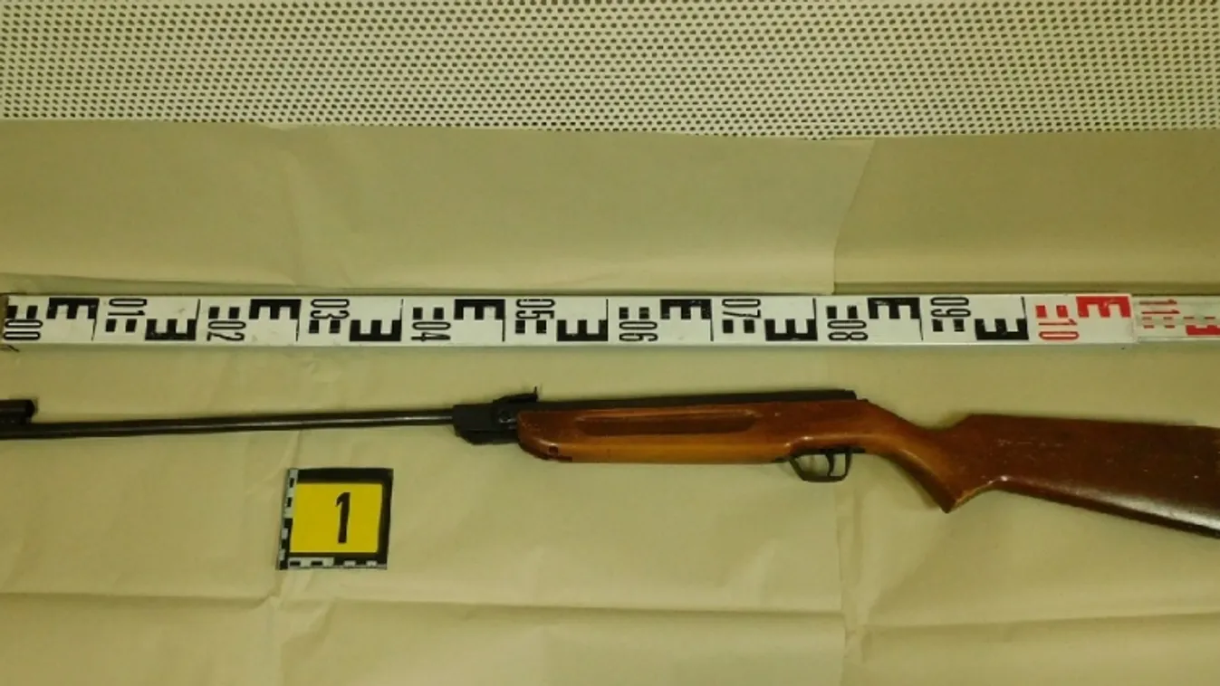 Légpuskával lövöldözött szomszédja kutyájára a debreceni férfi